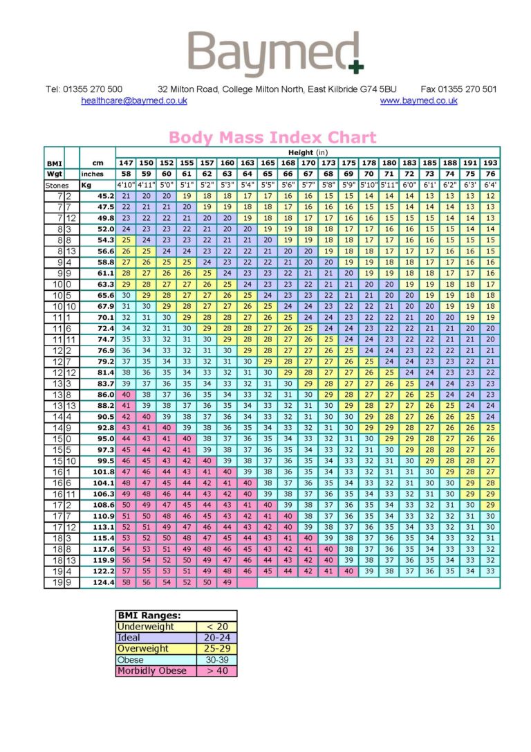 BMI Chart Laminated A3 - Baymed